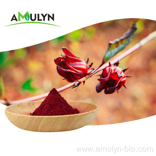 Natural Hibiscus Flower Roselle calyx rose powder extract